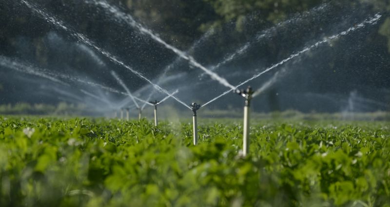 Field Irrigation Installation in Ventura County, CA