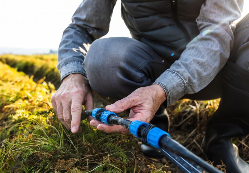 System Testing and Adjustment